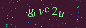 Validation image